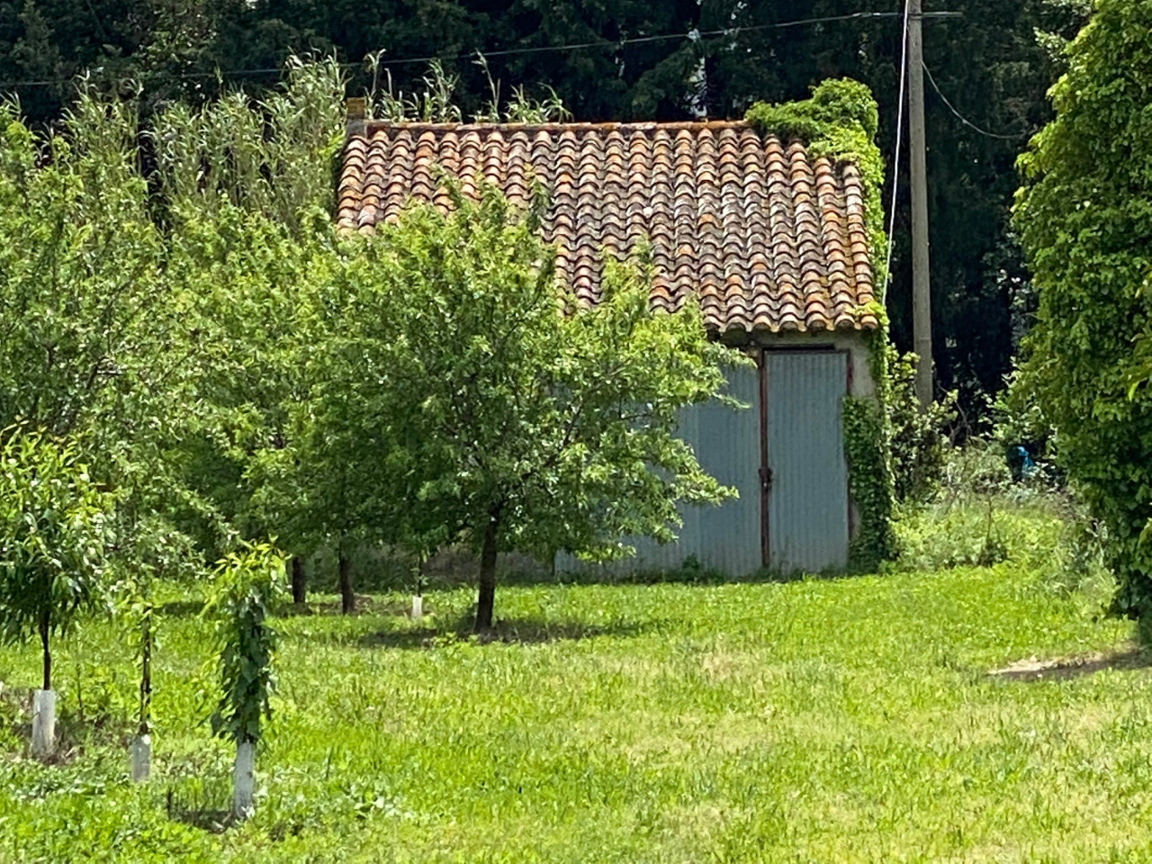 Image_3, Terrain agricole, Ille-sur-Têt, ref :3697
